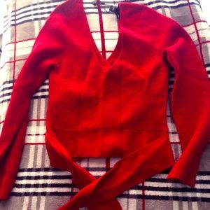 Express Sexy Winter Sweater in Red